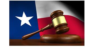 picture of gavel 